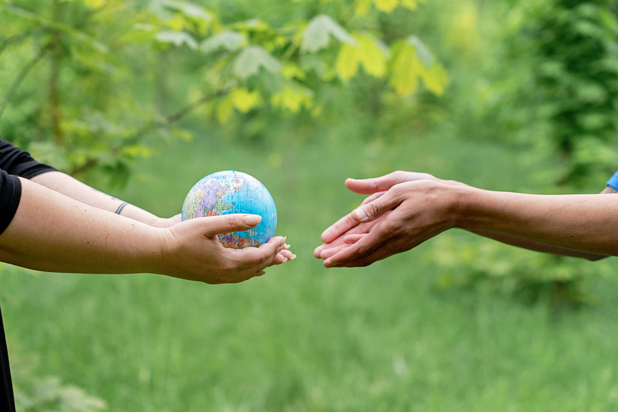 image of hands protecting an earth globe